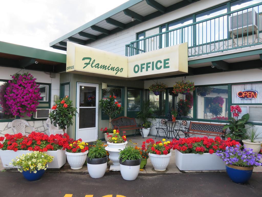 Flamingo Motel Penticton Exterior photo